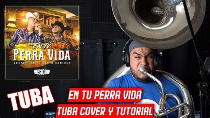 'En Tu Perra Vida' - mexicano Canción