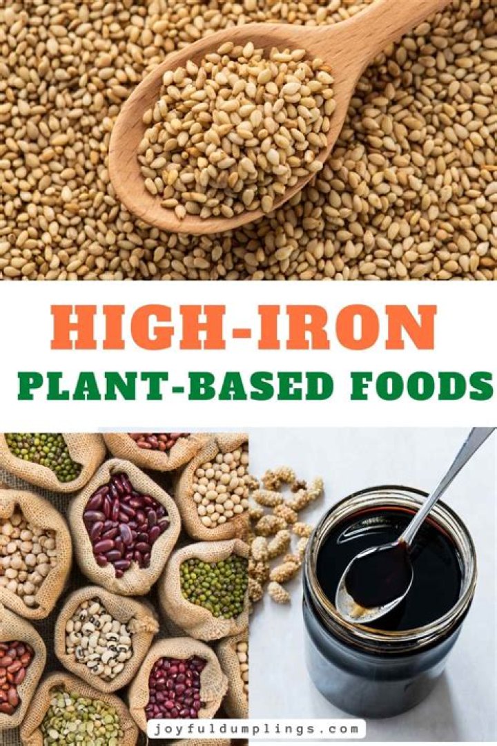 13 Foods High in Iron
