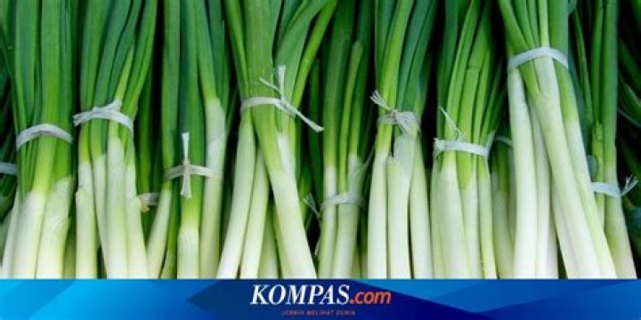 4 Jenis Daun Bawang dan Karakter Rasanya
