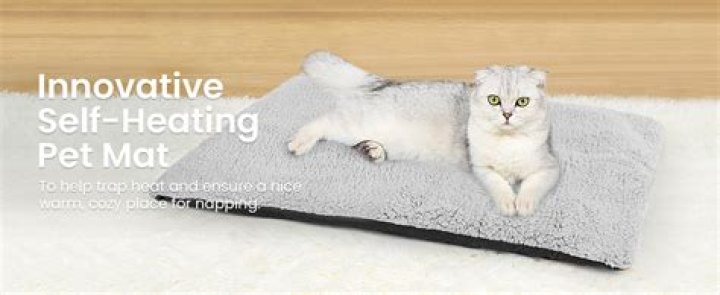 5 Awesome DIY Self-Heating Cat Bed Ideas (with Pictures) | PangoVet