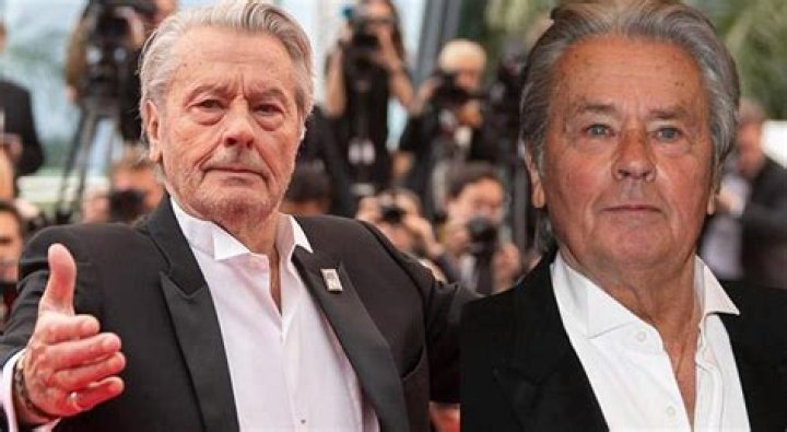 Alain Delon Vermögen