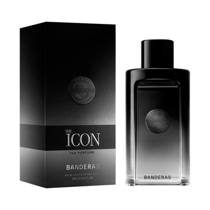 Antonio Banderas Vermögen