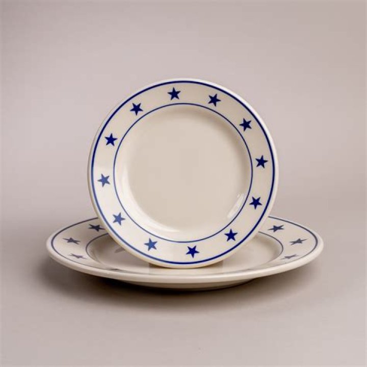 Blue Stars Salad Plate
– Laurel Mercantile