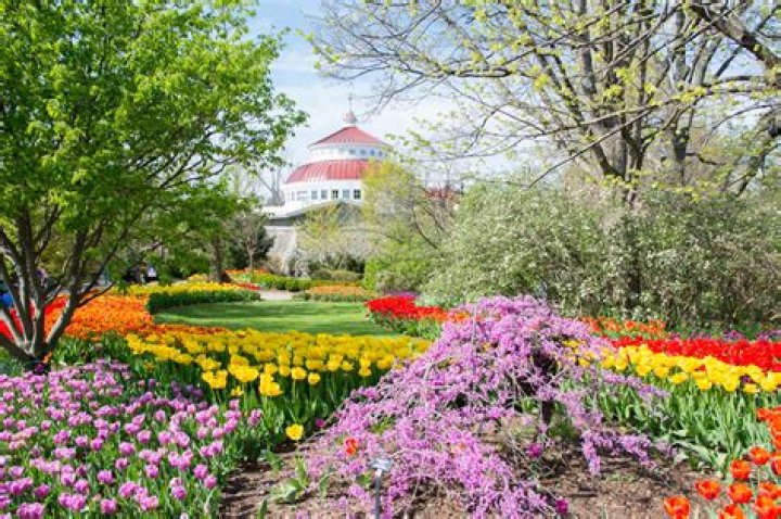 Cincinnati Gardens Pt.3 (razed in 2018) - Cincinnati, Ohio