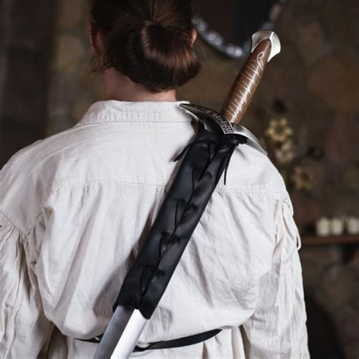 D&D 5E - Draw a sword and sheathe a dagger with free action ?