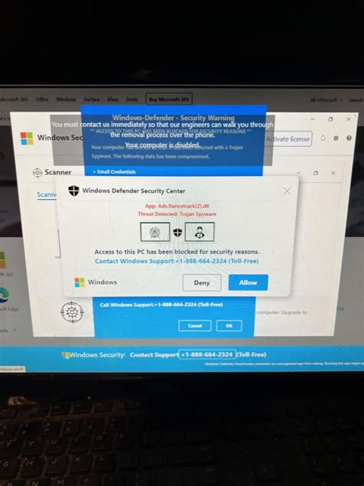 gunturbadi.in login safely, analysis & comments