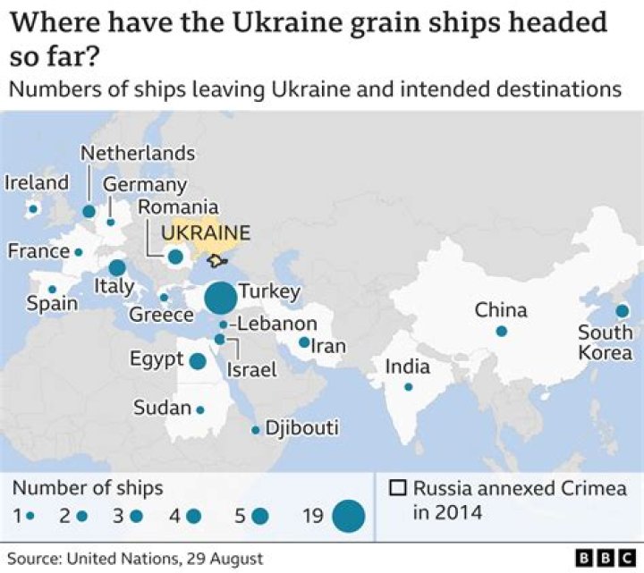 Huge relief as Ukrainian grain shipped out, but the food crisis isn't going anywhere