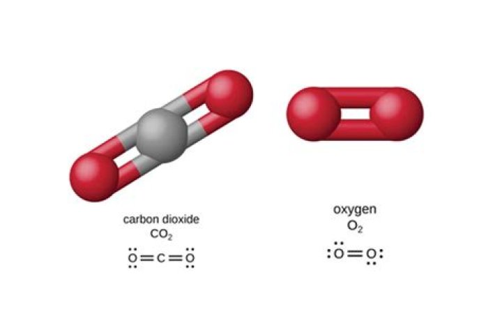 Ikatan Kovalen Rangkap: Pengertian dan Contoh Senyawanya