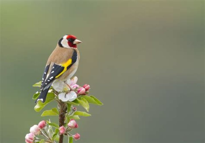 Jürgen Vogel Vermögen