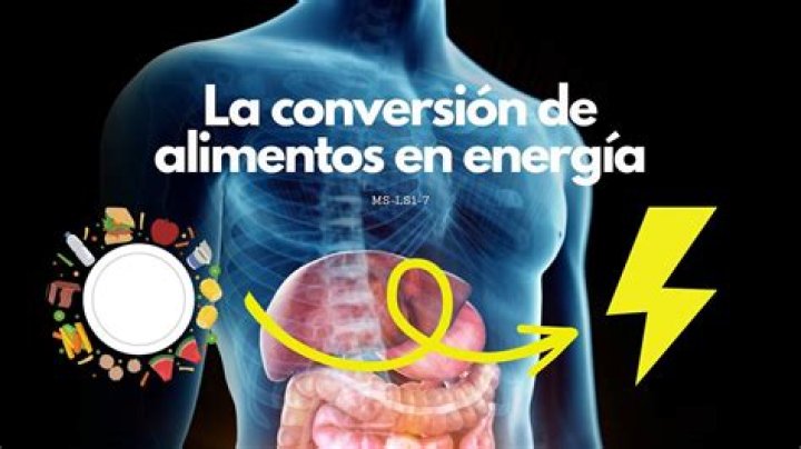 la vitamina que consigue convertir los alimentos en energía
