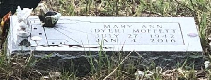 Mary Ann Moffett | Death Notices