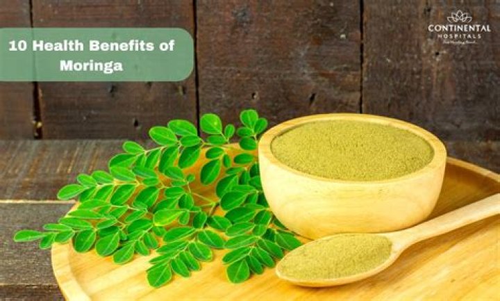 Moringa Leaves| What Are The Benefits Of Moringa Tea?