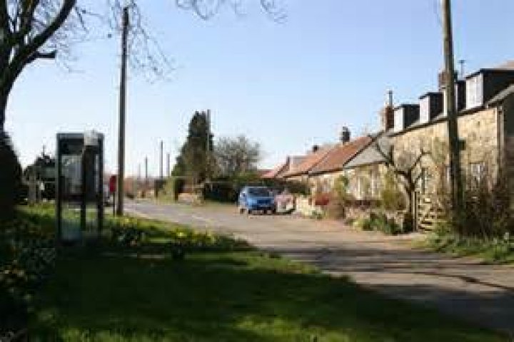 Ogle Castle | Co-Curate