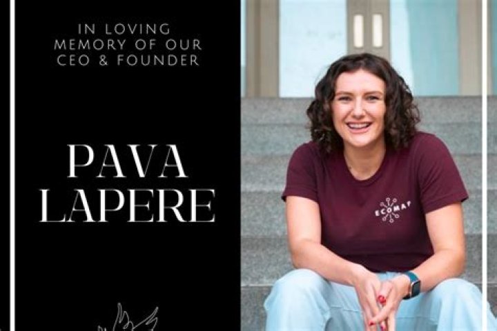Pava LaPere’s Story Wikipedia: The Tech CEO’s Cause Of Death, Parents, Family, Father, Mother, Siblings, Biography