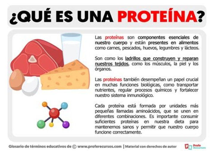 ¿Qué son las proteínas y para qué sirven?