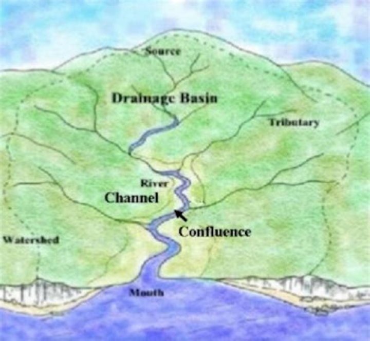 River Tees | Co-Curate