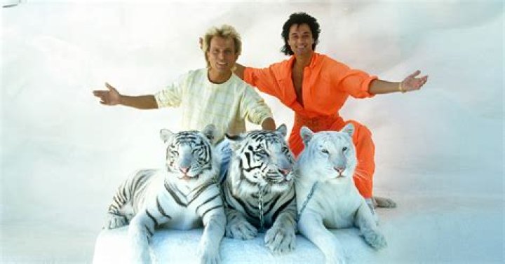 Siegfried und Roy Vermögen