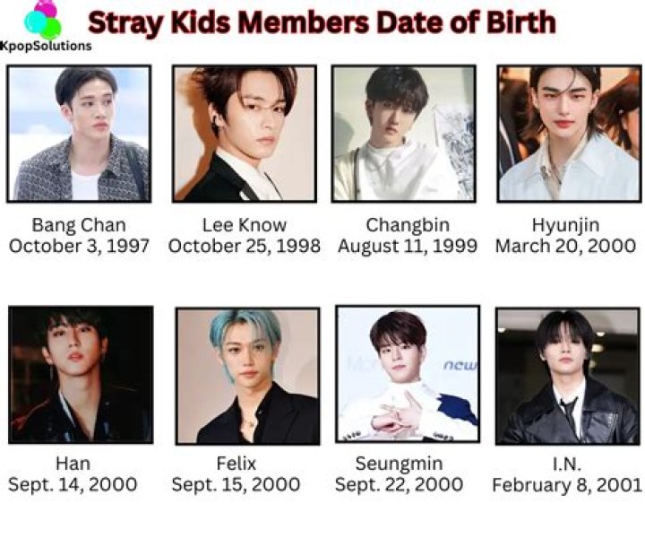 Stray Kids: Profile, Members, Ages, Birthdays, Positions