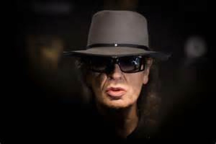Udo Lindenberg Vermögen