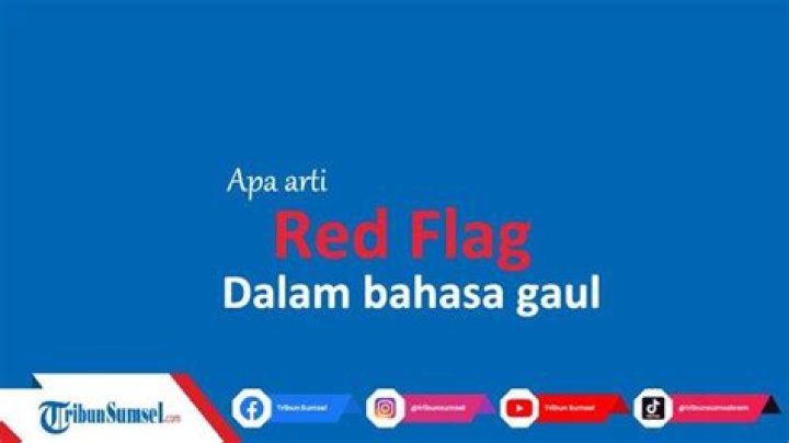 Viral di Twitter dan TikTok, Apa Arti Kata 'Red Flag'?