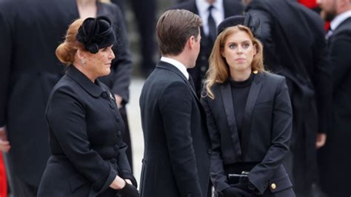 Wandelnder Trauerflor – 11FREUNDE