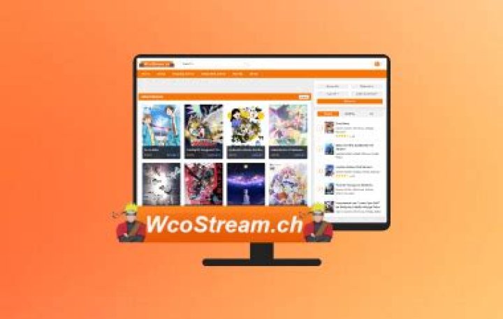 wcostream.com login safely, analysis & comments