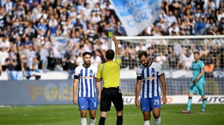 „Wenn du zum 100. Mal liest, dass du ein Bastard bist...“ – 11FREUNDE