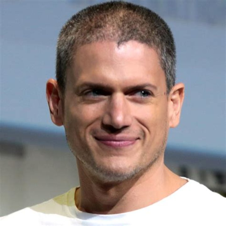 Wentworth Miller - Bio, Net Worth, Height