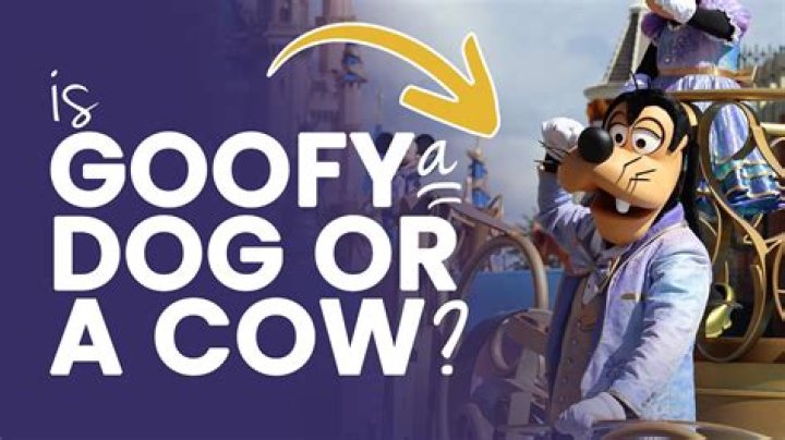 What Breed of Dog Is Goofy? Famous Disney Character Facts | PangoVet